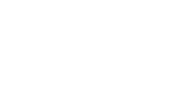 Tecno Express